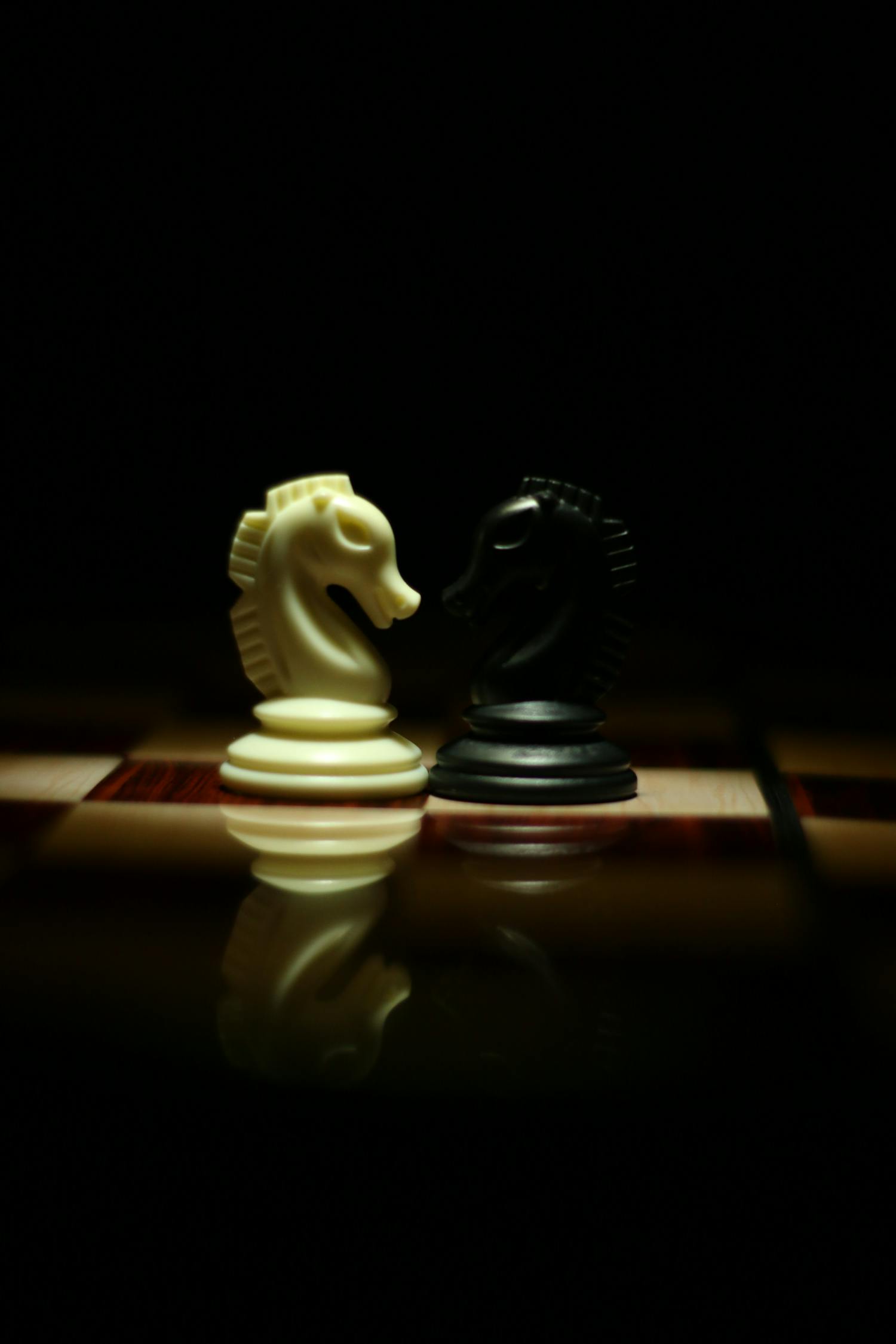围棋比赛，策略与智慧的较量对决作文纪实